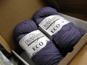 Eco + yarn by Cascade yarns purple