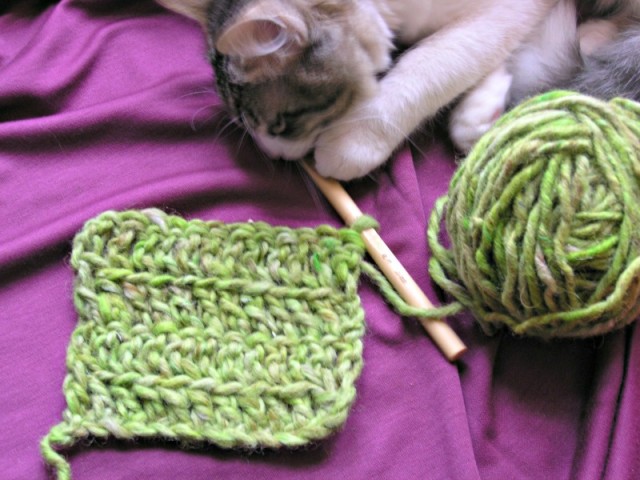 crochet tutorial  - working in the front loop by ChezPlum.com