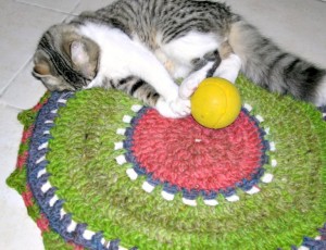 Round Rug, free crochet pattern by Sylvie Damey, http://sylviedamey.com